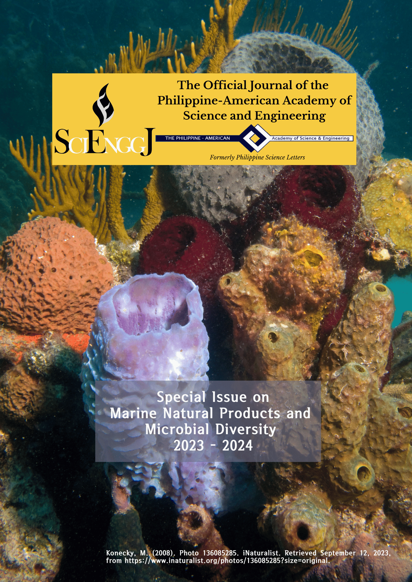 PSL%20Special%20Issue%202020 2