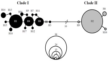 PSL%202014 vol07-no02-p317-323%20Sienes