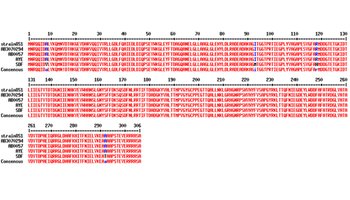 PSL%202014 vol07-no02-p406-412%20Sarmago