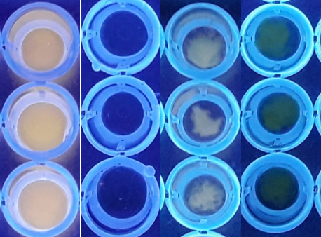 PSL%202019%20Special%20Issue%2008 Macalinao%20et%20al