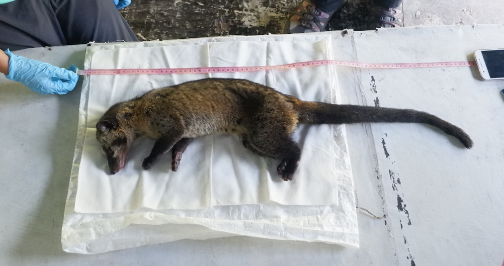 PSL%202019 vol12-no02-p133-138-Mikita%20and%20Padlan