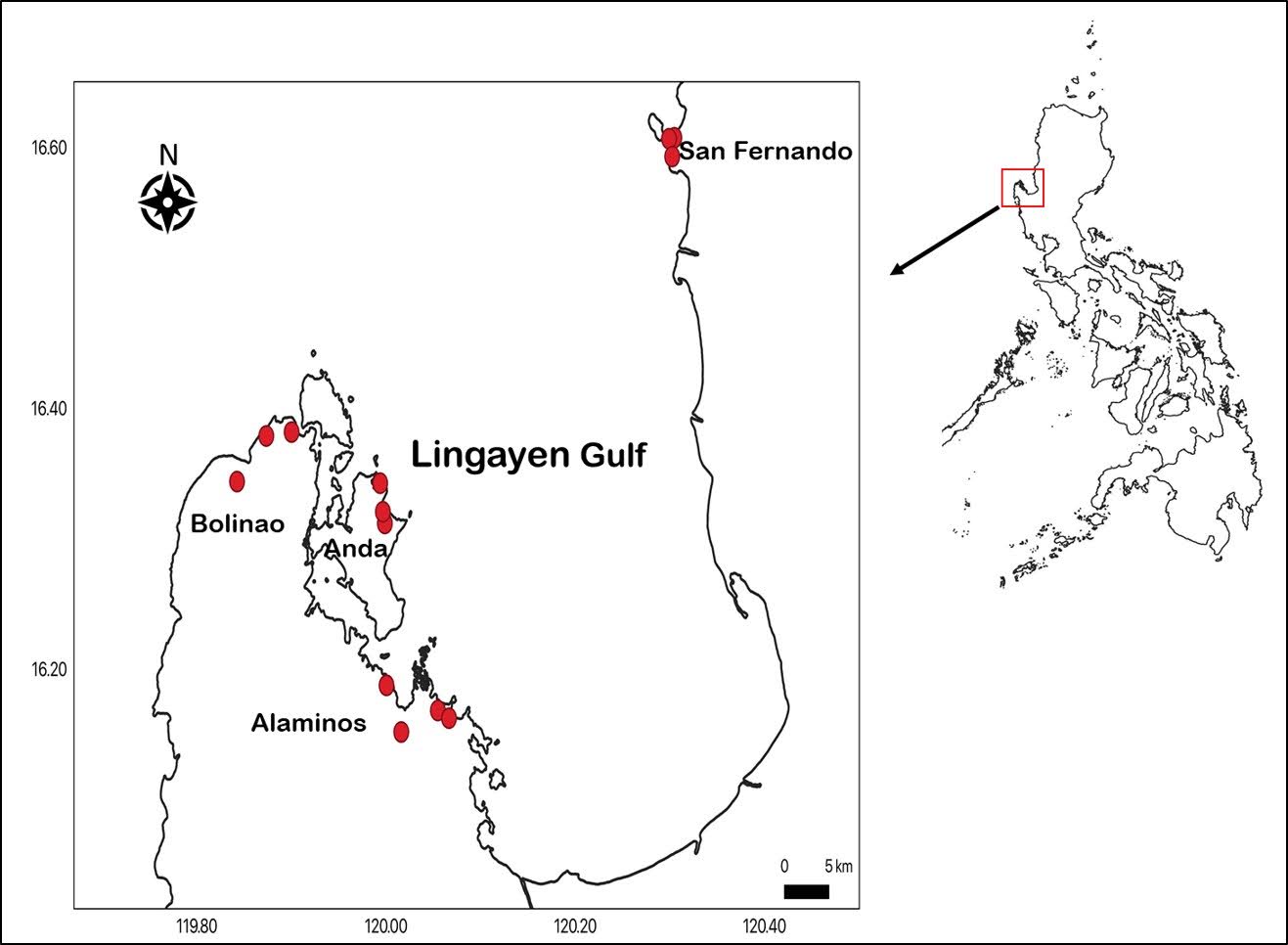PSL%202019 vol12-no02-p133-138-Mikita%20and%20Padlan