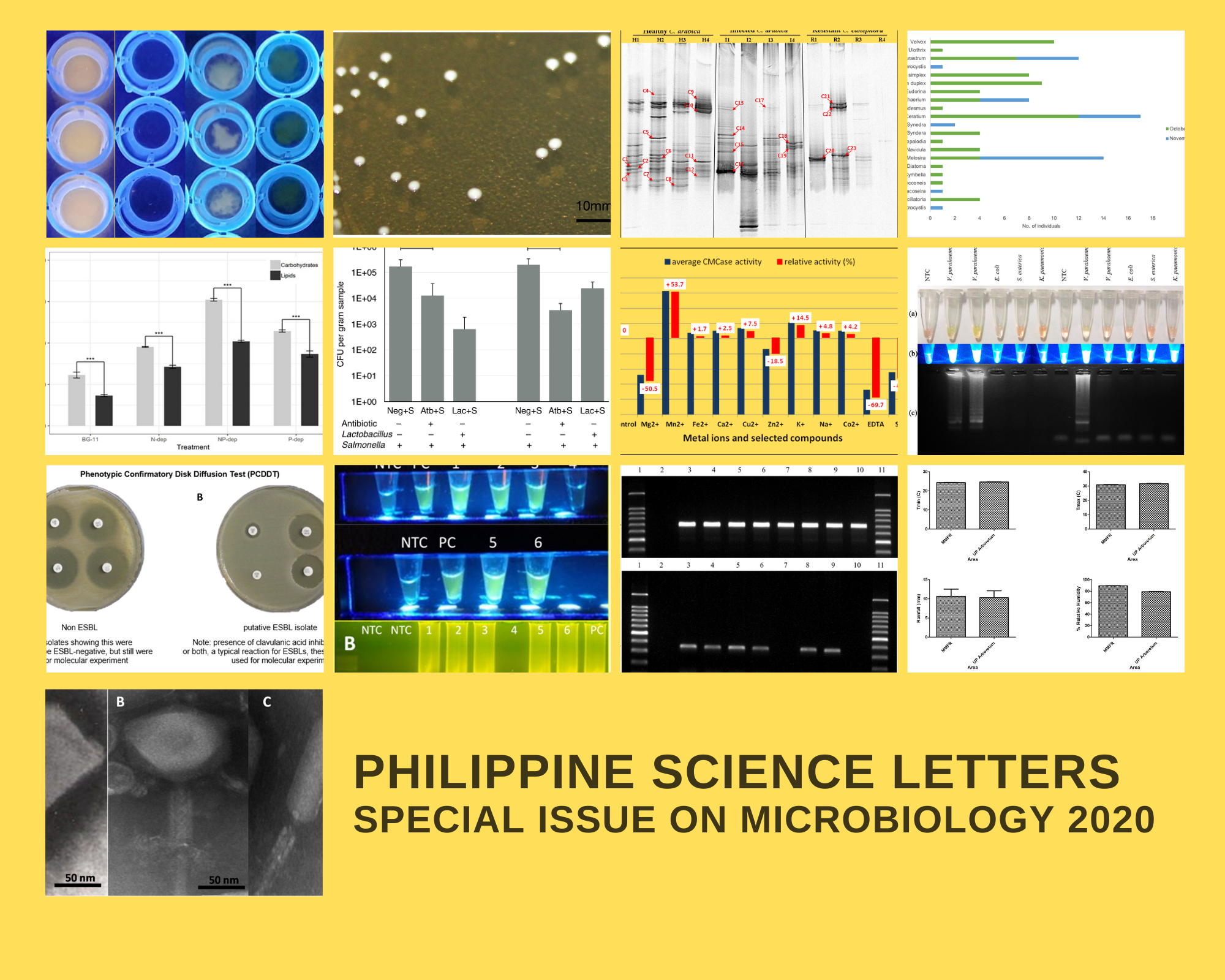 PSL%20Special%20Issue%202020