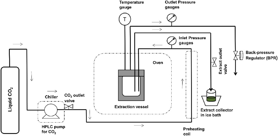 PSL%202021 vol14-no01-p12-28-Mikita%20and%20Padlan