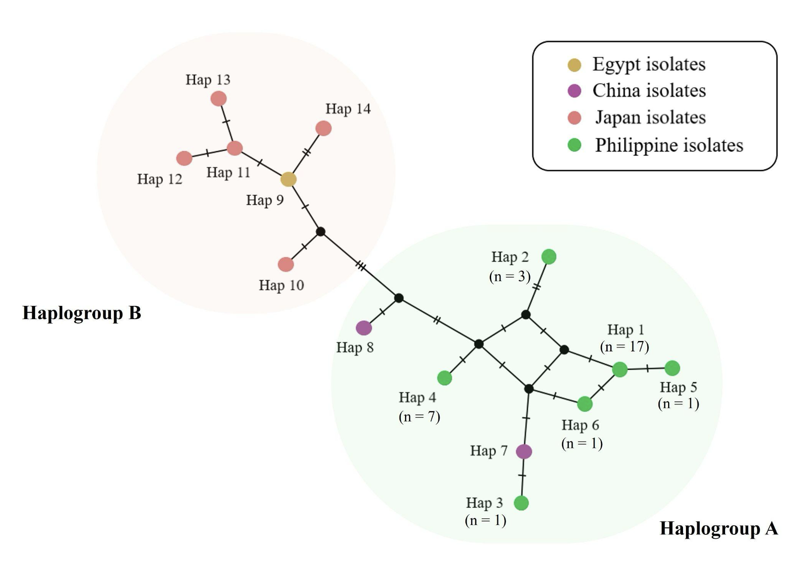 SciEnggJ%202026 vol19 no01 p33 45 Ong%20et%20al