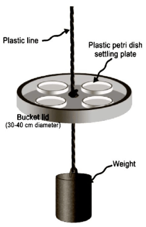 SciEnggJ%202026 vol19 no01 p21 32 Ocampo%20et%20al