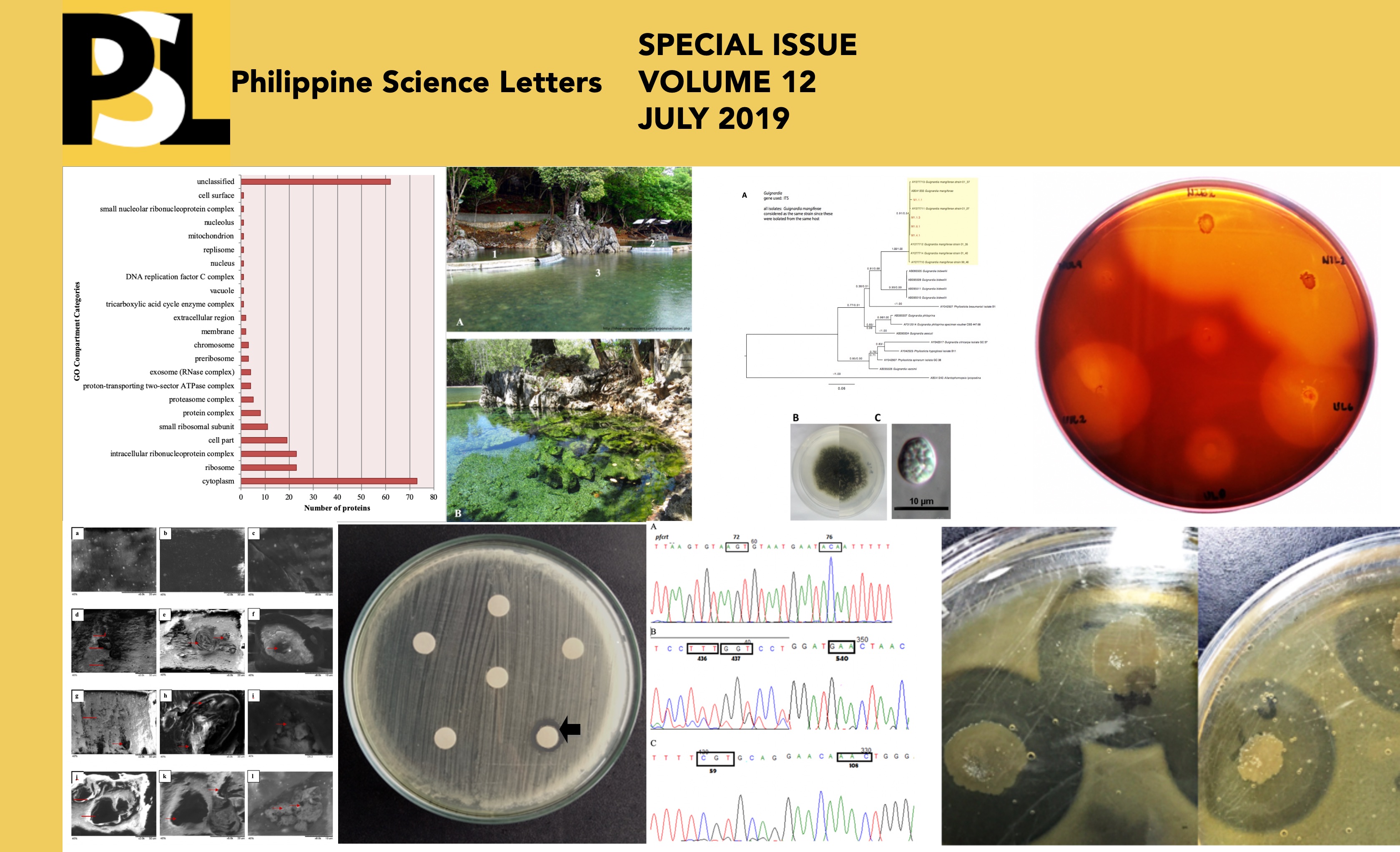 Special%20Issue%20Placeholder%202